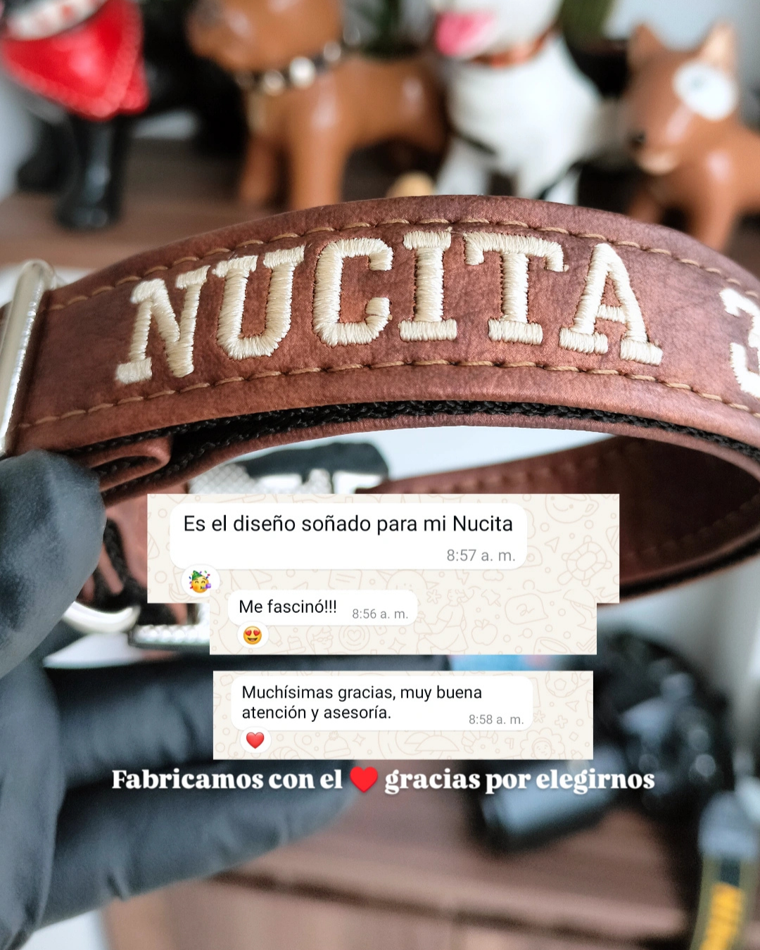 testimonio collares